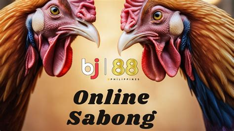 How Karyo Works in Sabong – BJ88 SABONG.